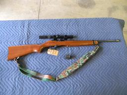 Ruger 10/22