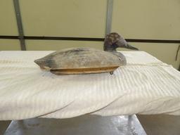 Canvasback Drake by Unknown