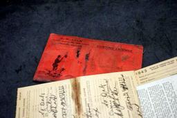 Old Angling License & Turtle