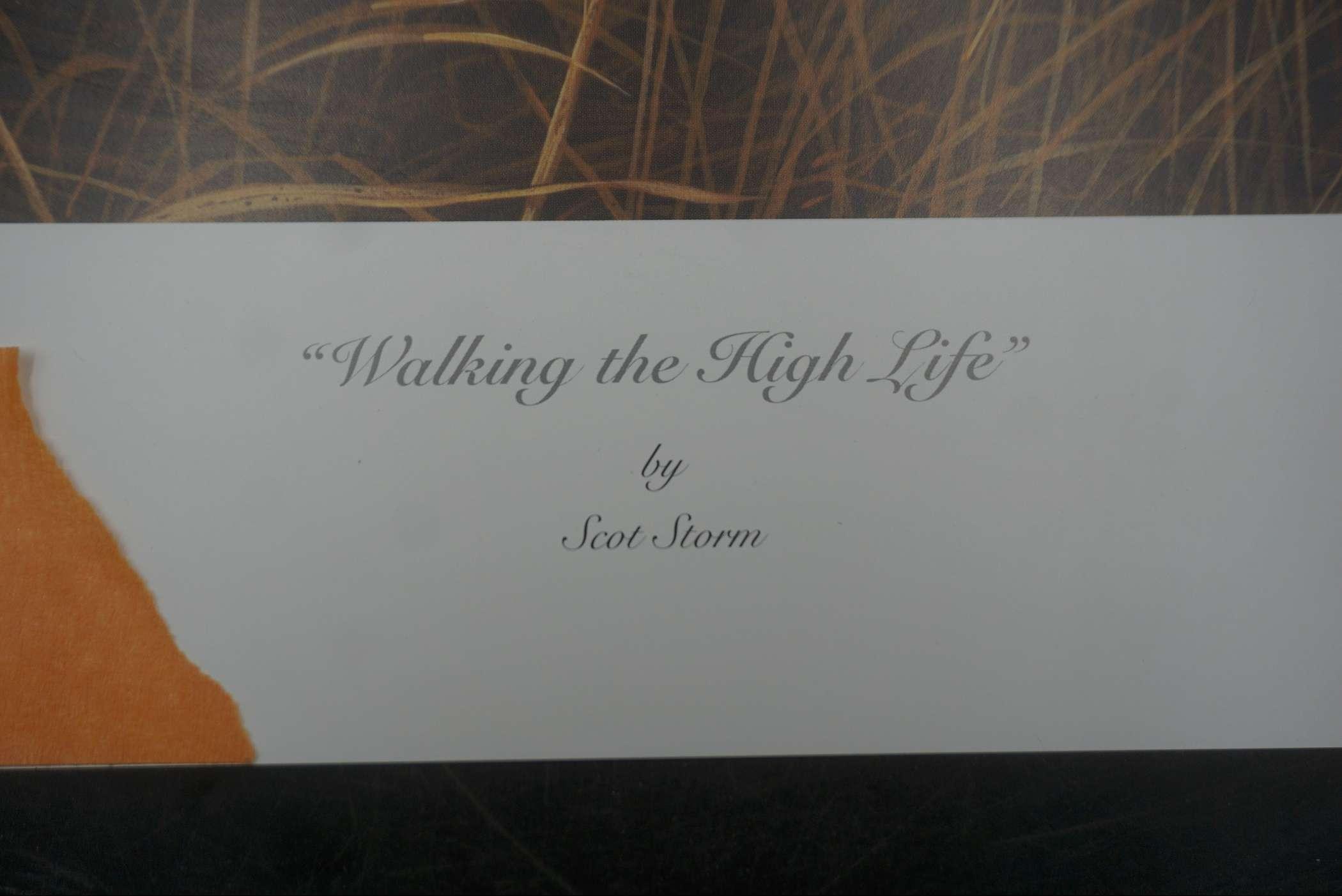 "Walking The High Life" By Scot Storm Executive Signed Print 4/20