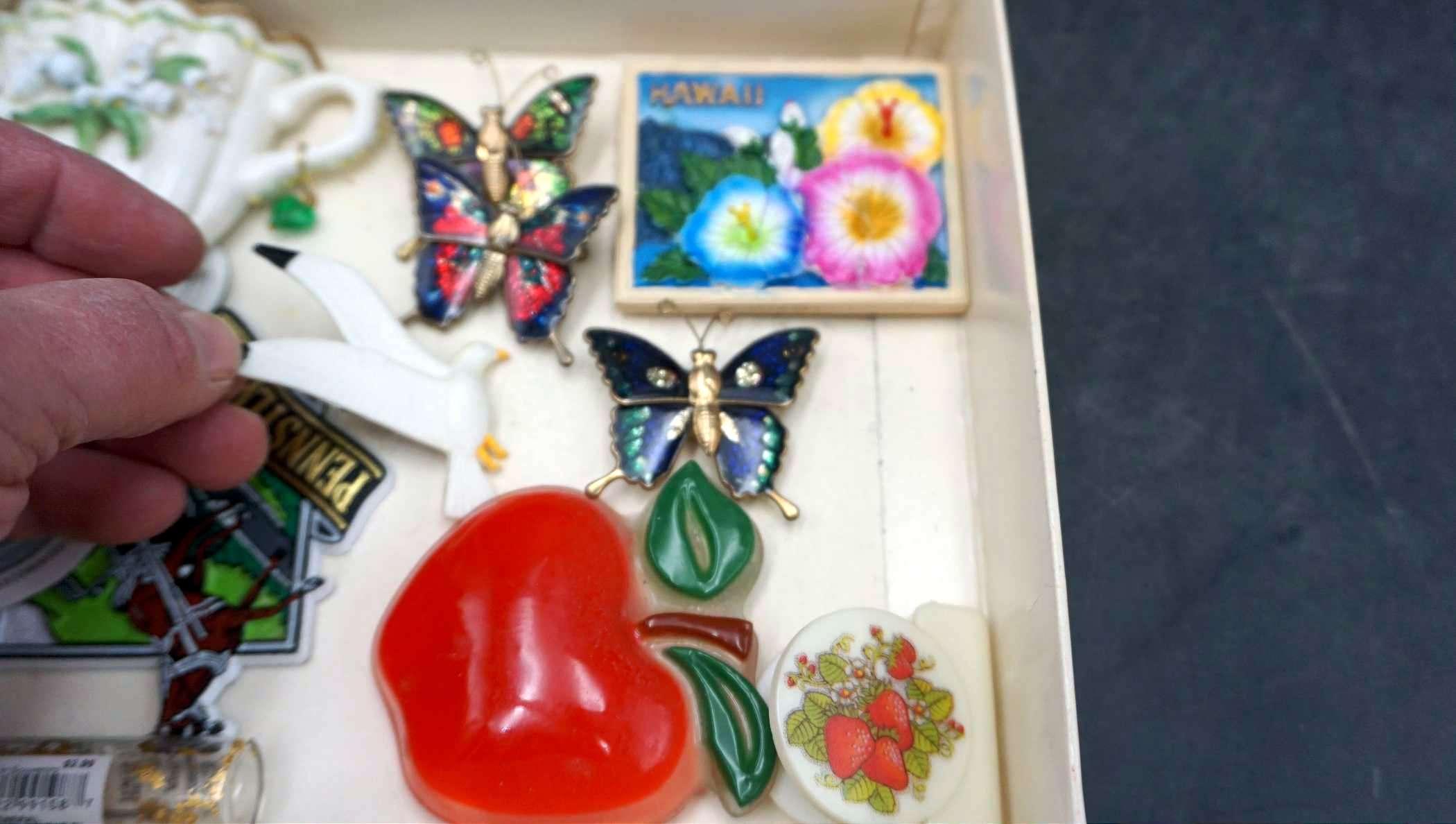 Magnets, Chip Clips, Apple, Jeweled Butterflies, Nurse Figurine, Figurines
