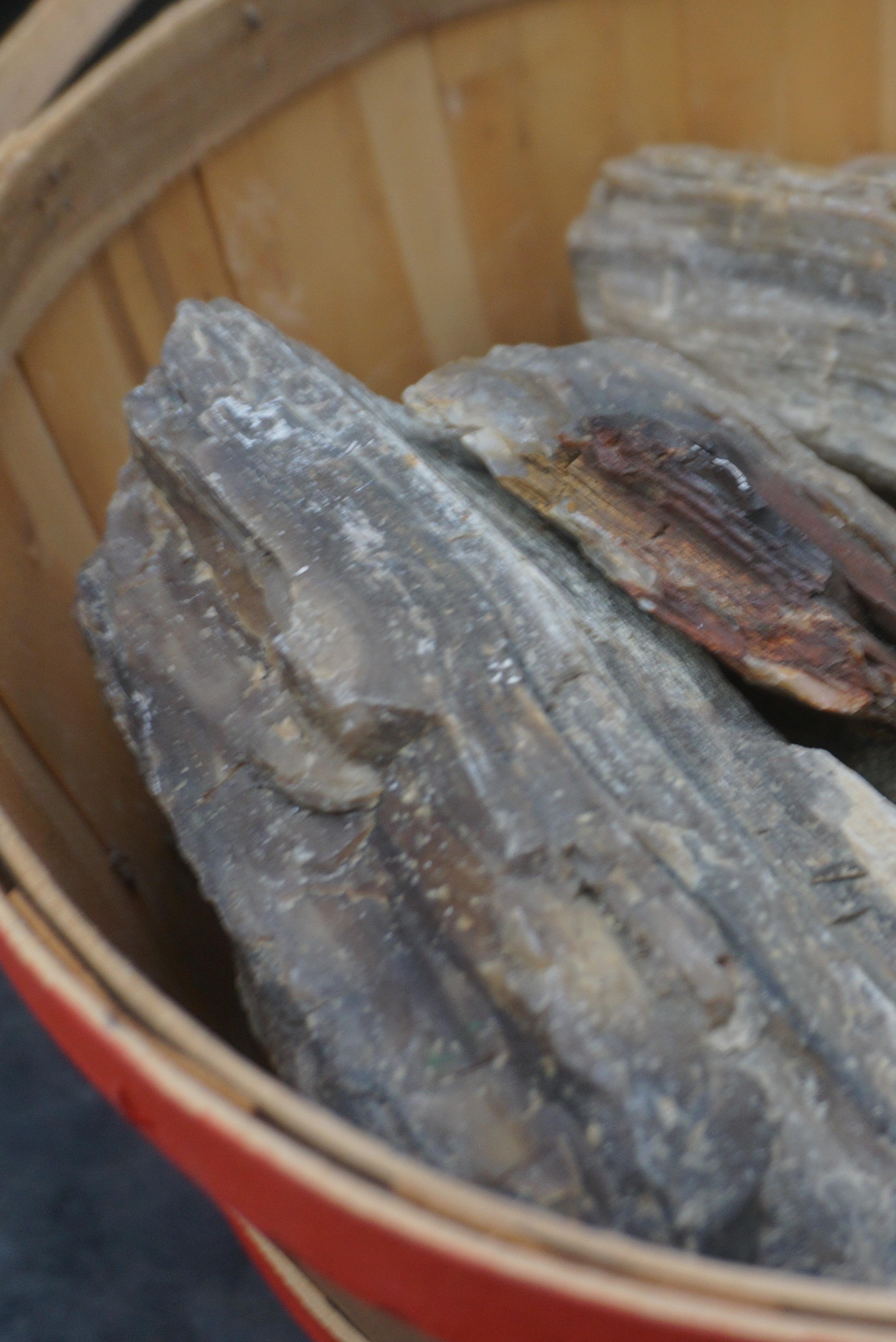 Bushel Basket, Driftwood Log & Rocks