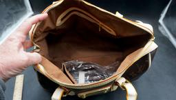 Louis Vuitton Handbag - unsure of authenticity