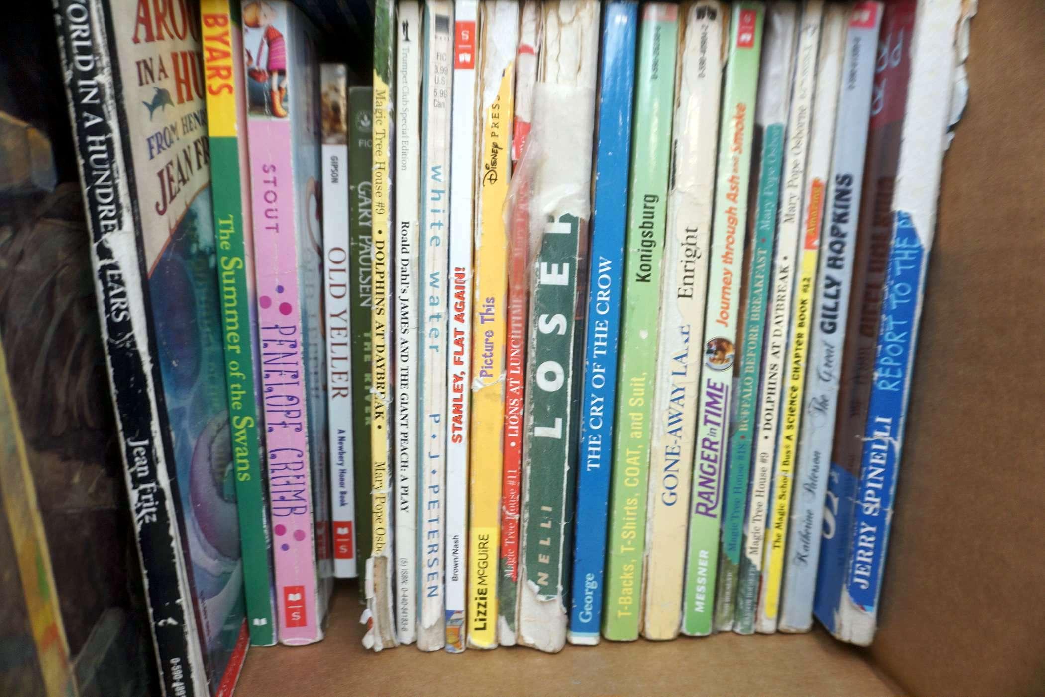 Assorted Chapter Books For Kids