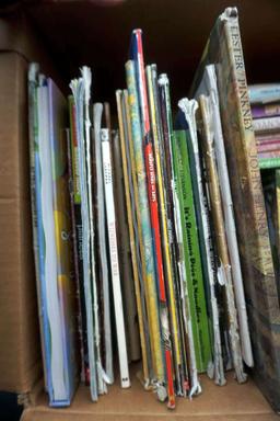 Assorted Chapter Books For Kids