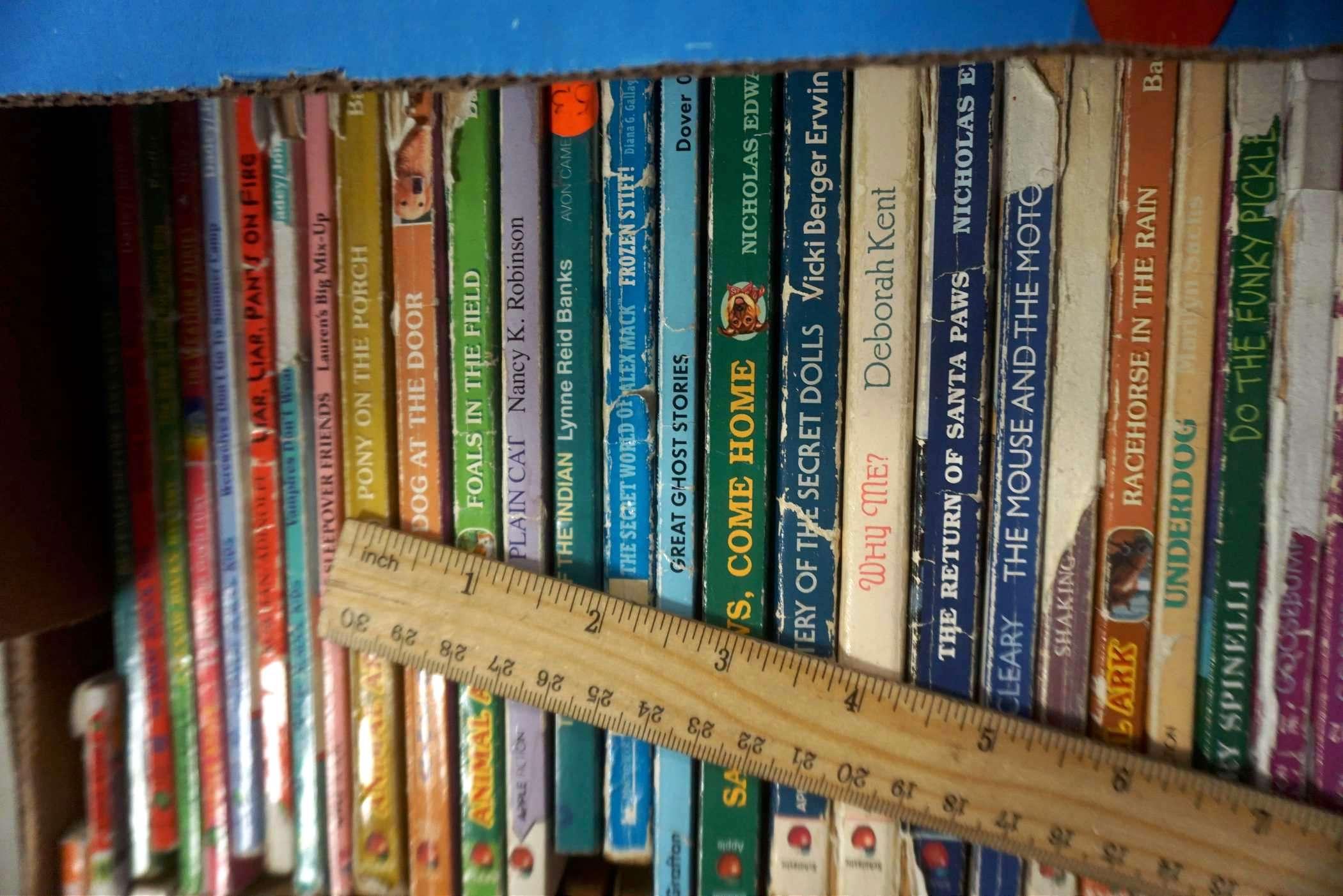 Assorted Chapter Books For Kids