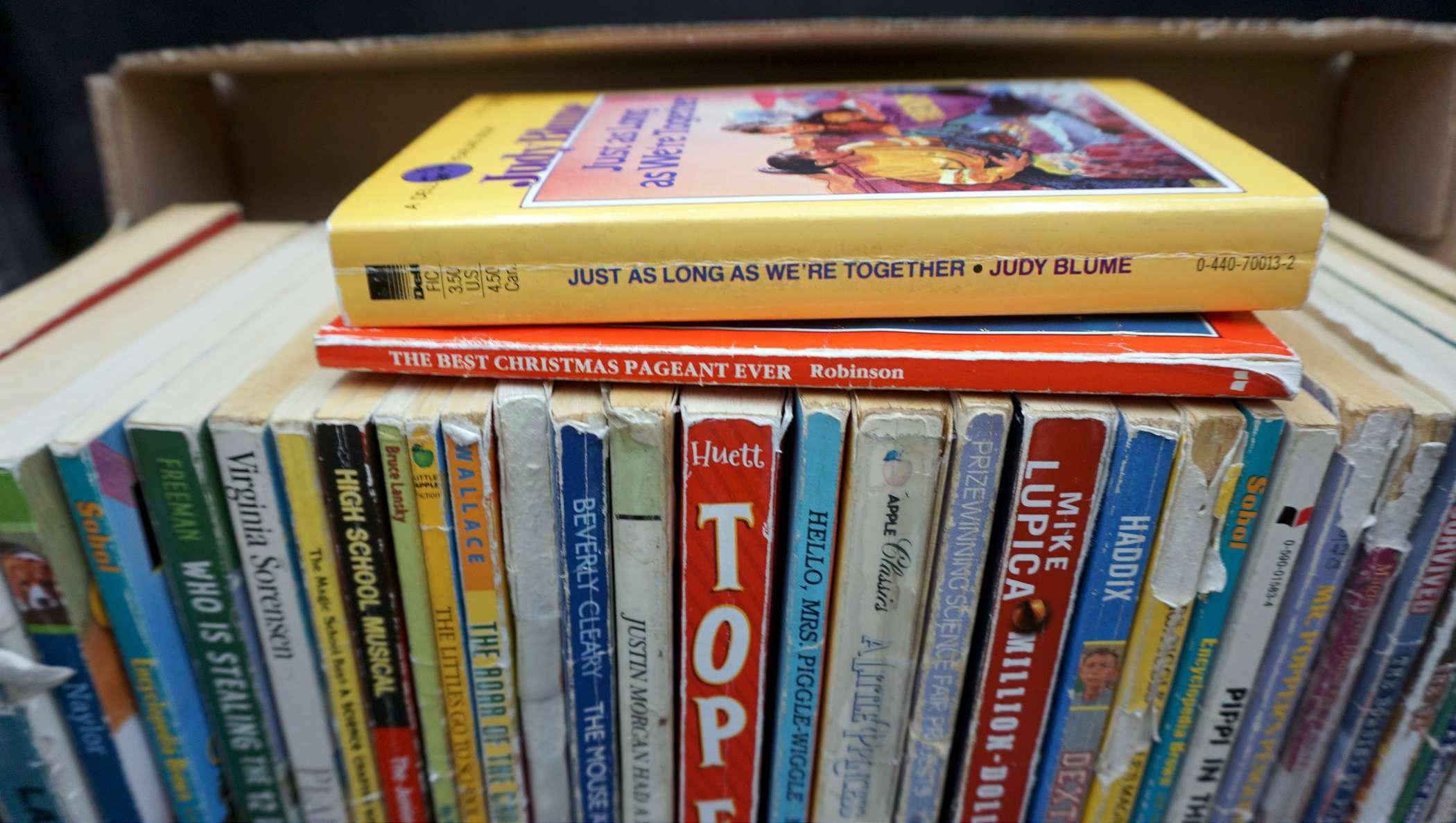 Chapter Books For Children