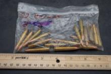 .22 Hornet Bullets