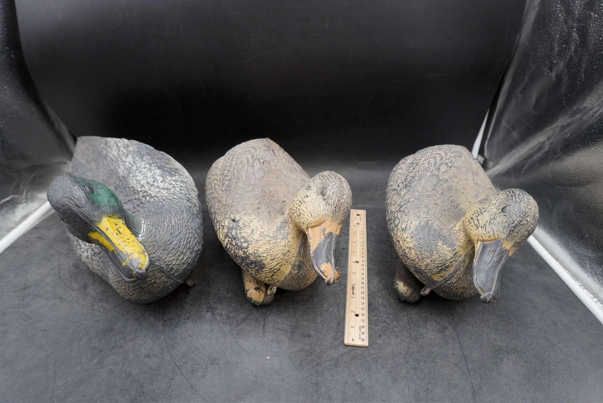 3 - Duck Decoys
