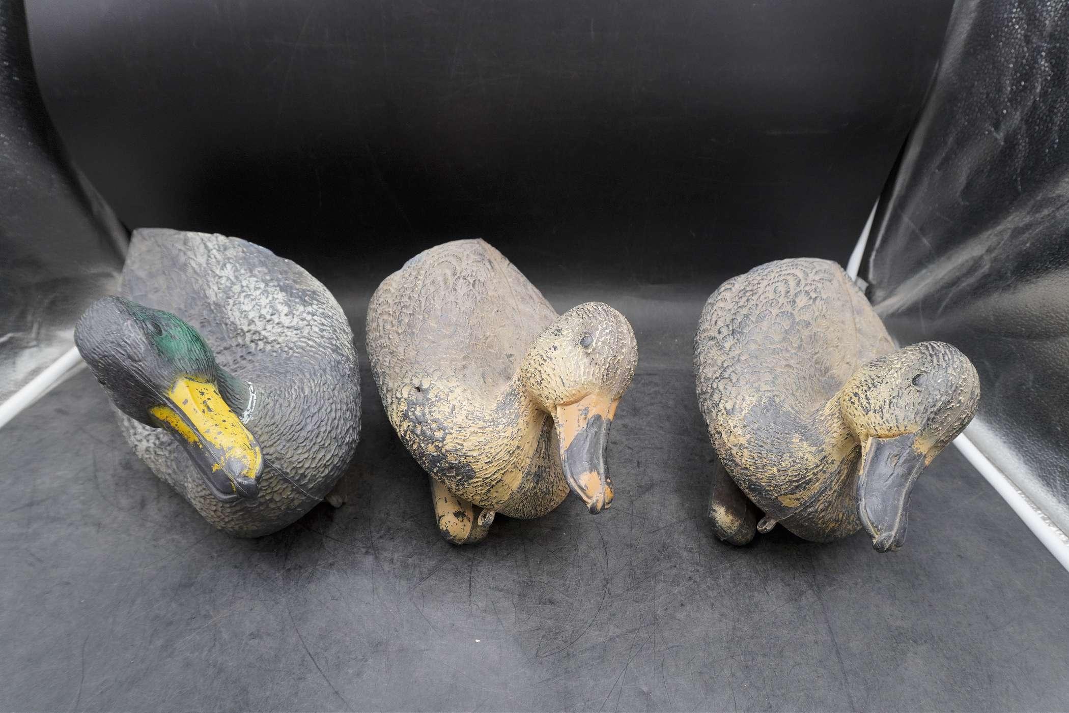 3 - Duck Decoys