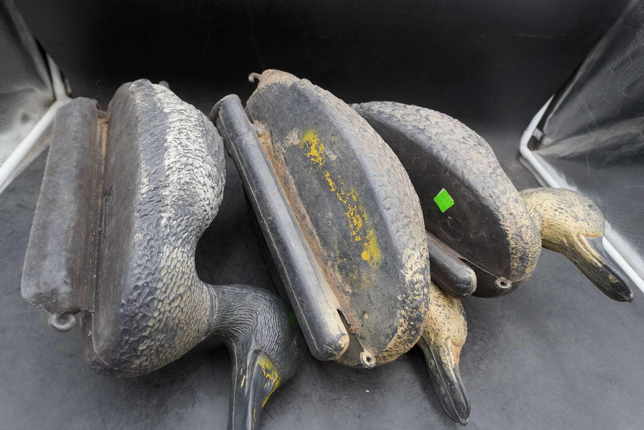 3 - Duck Decoys