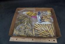 Assorted Shells