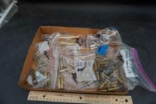 Assorted Shells