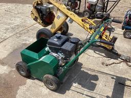 Turf Revitalizer