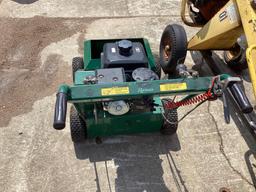 Turf Revitalizer