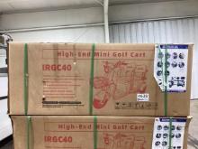 IRGC40 Mini Electric Scooter