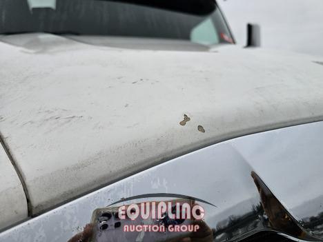 2018 FREIGHTLINER PT126SLP TANDEM AXLE SLEEPER