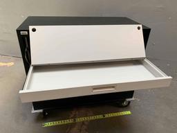 APW Wright Line Rolling Backup Tape Storage Cabinet 39" x 19" x 35.5" Key