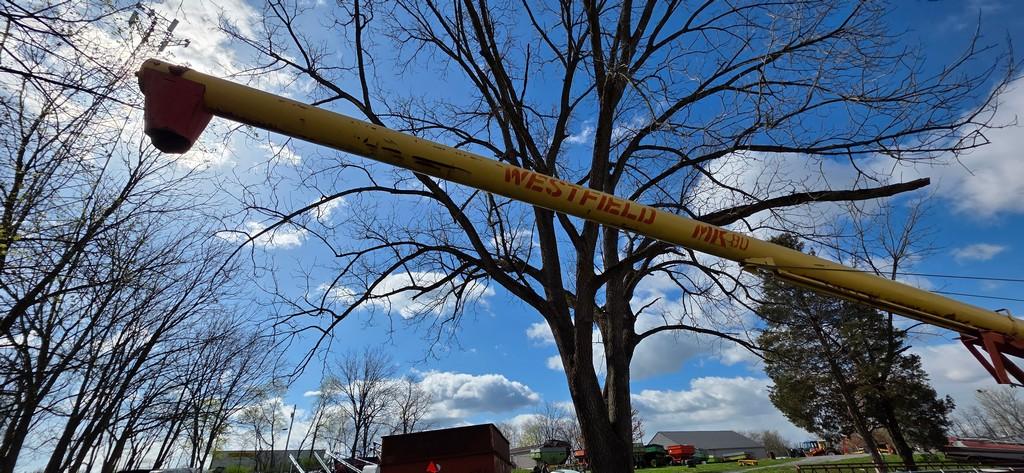 Westfield 10x61 Grain Auger
