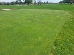 Turf Off The Green 11