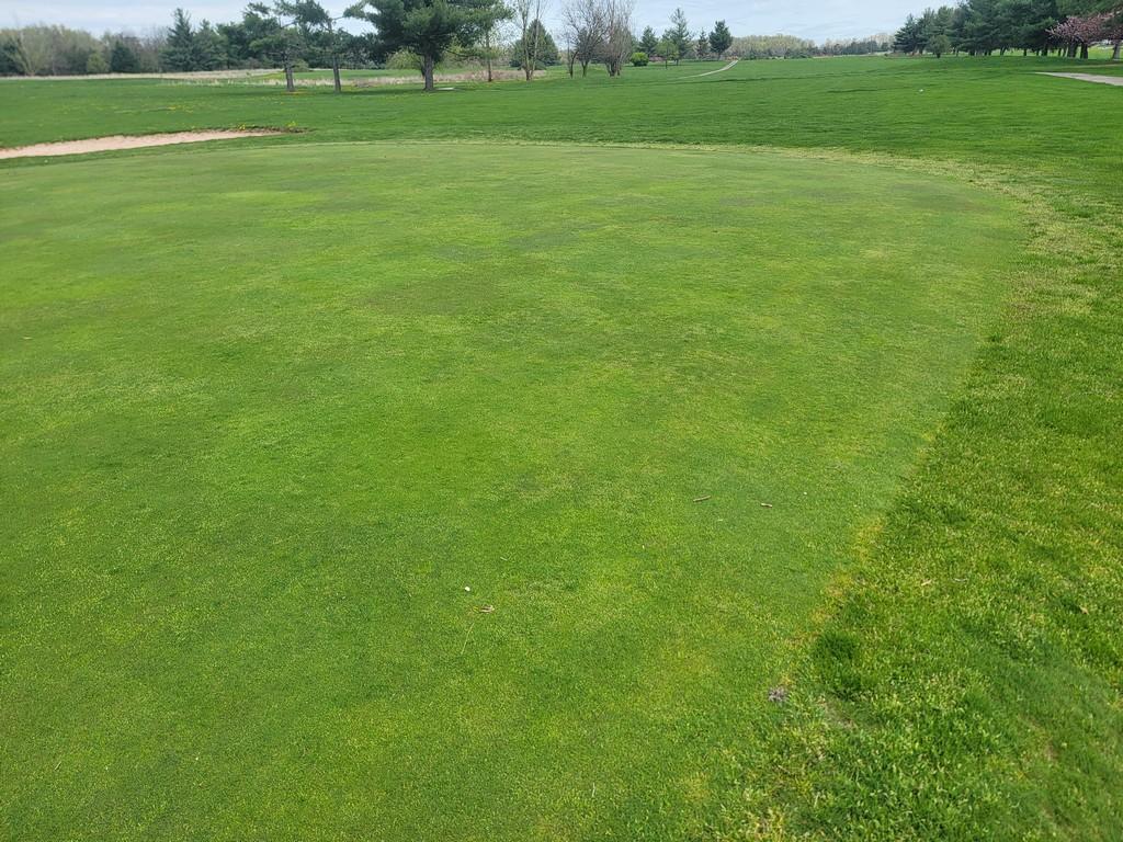 Turf Off The Green 11