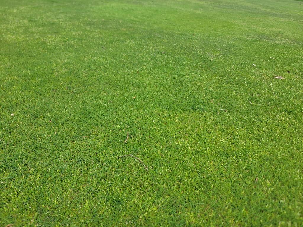 Turf Off The Green 11