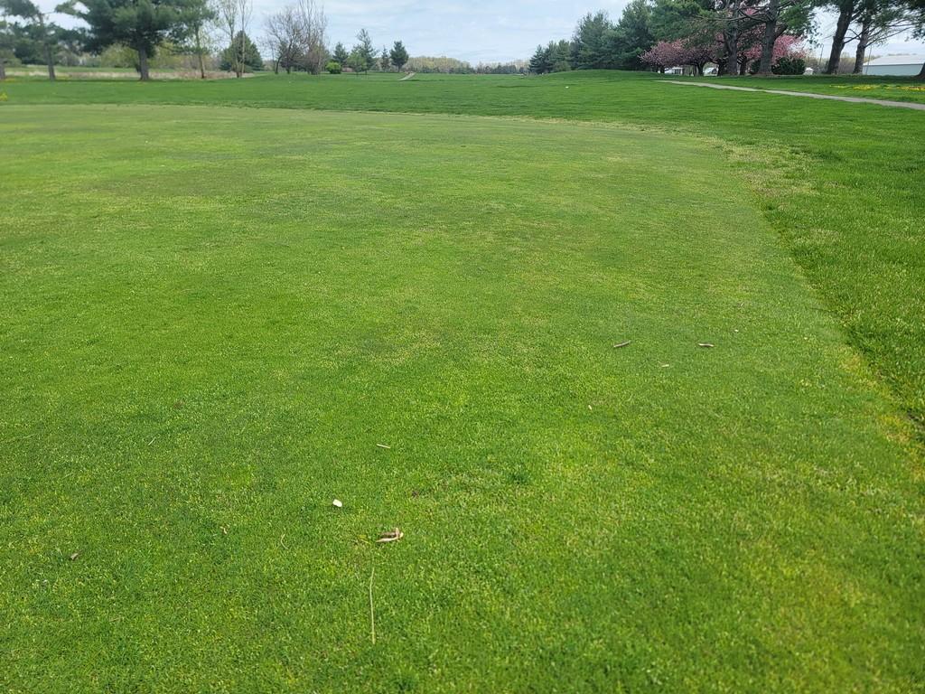 Turf Off The Green 11
