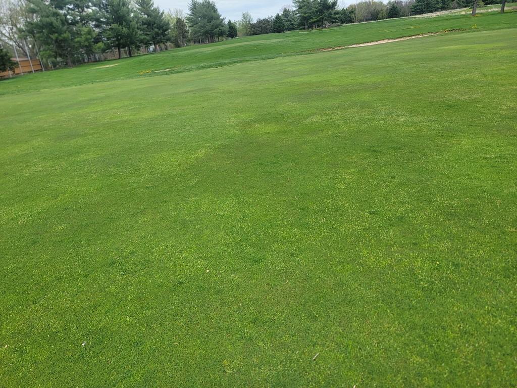 Turf Off The Green 11