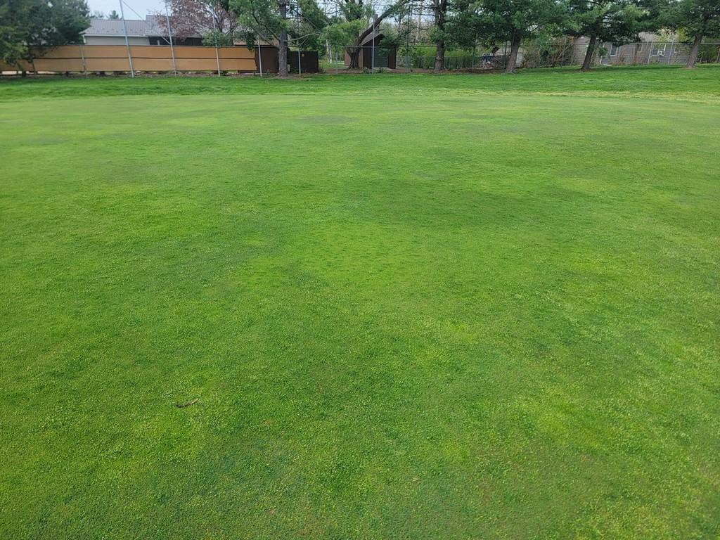 Turf Off The Green 11