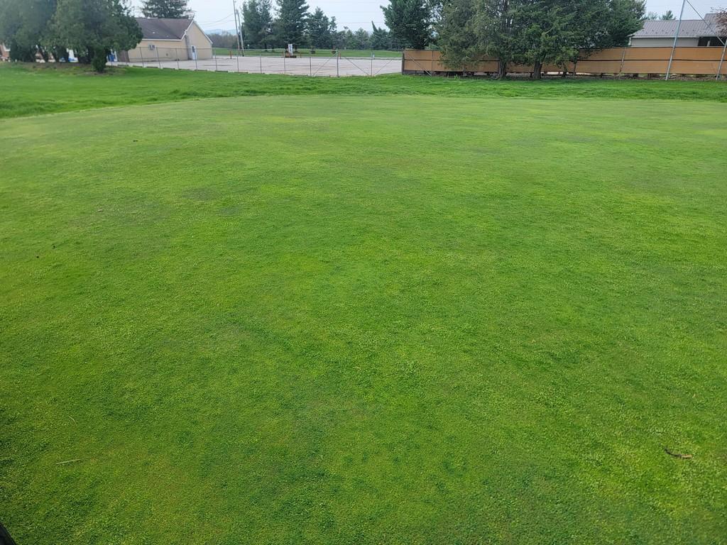 Turf Off The Green 11