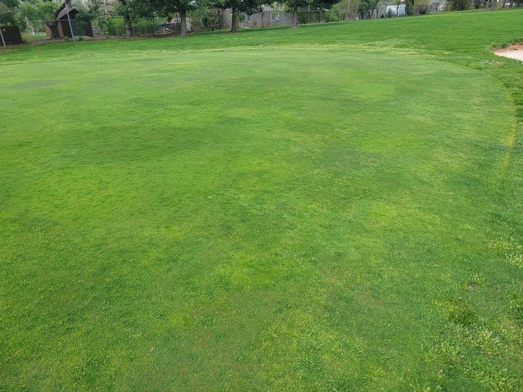 Turf Off The Green 11