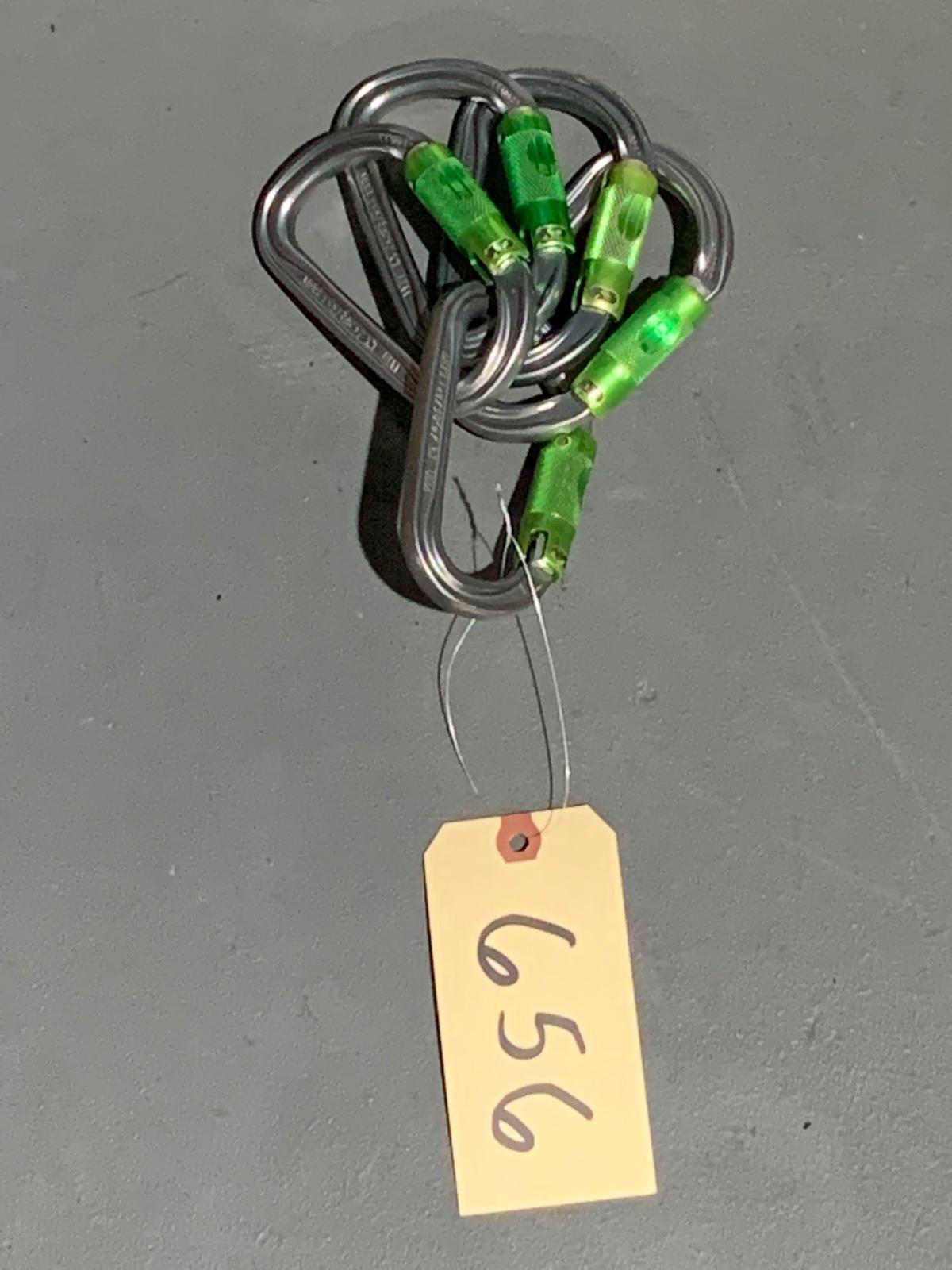 5 Carabiner Lot