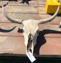 Skull Head
