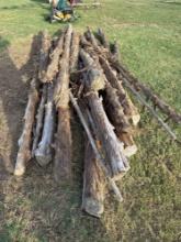 Lot of Cedar Posts