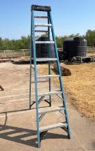 Werner 8 ft. Fiberglass Ladder