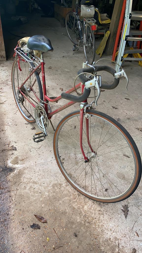 Schwinn 10 speed