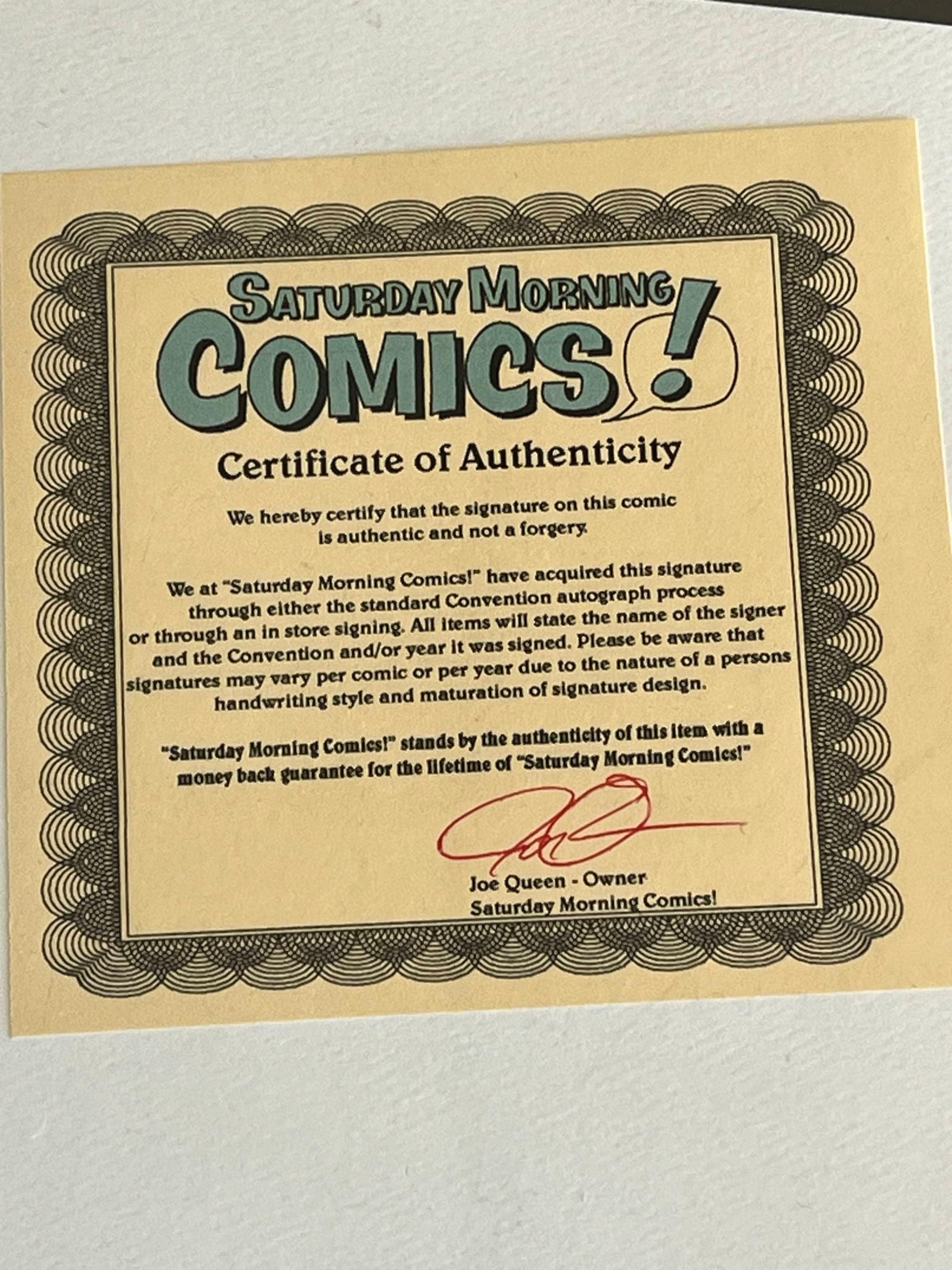 10" x 16 1/2" Amanda Conner Signed Power Girl Print (DC Comics)