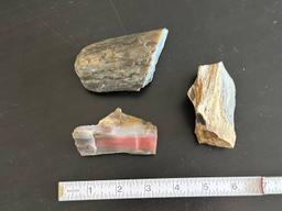 (3) Pieces of Petrified Wood. Some agatization.