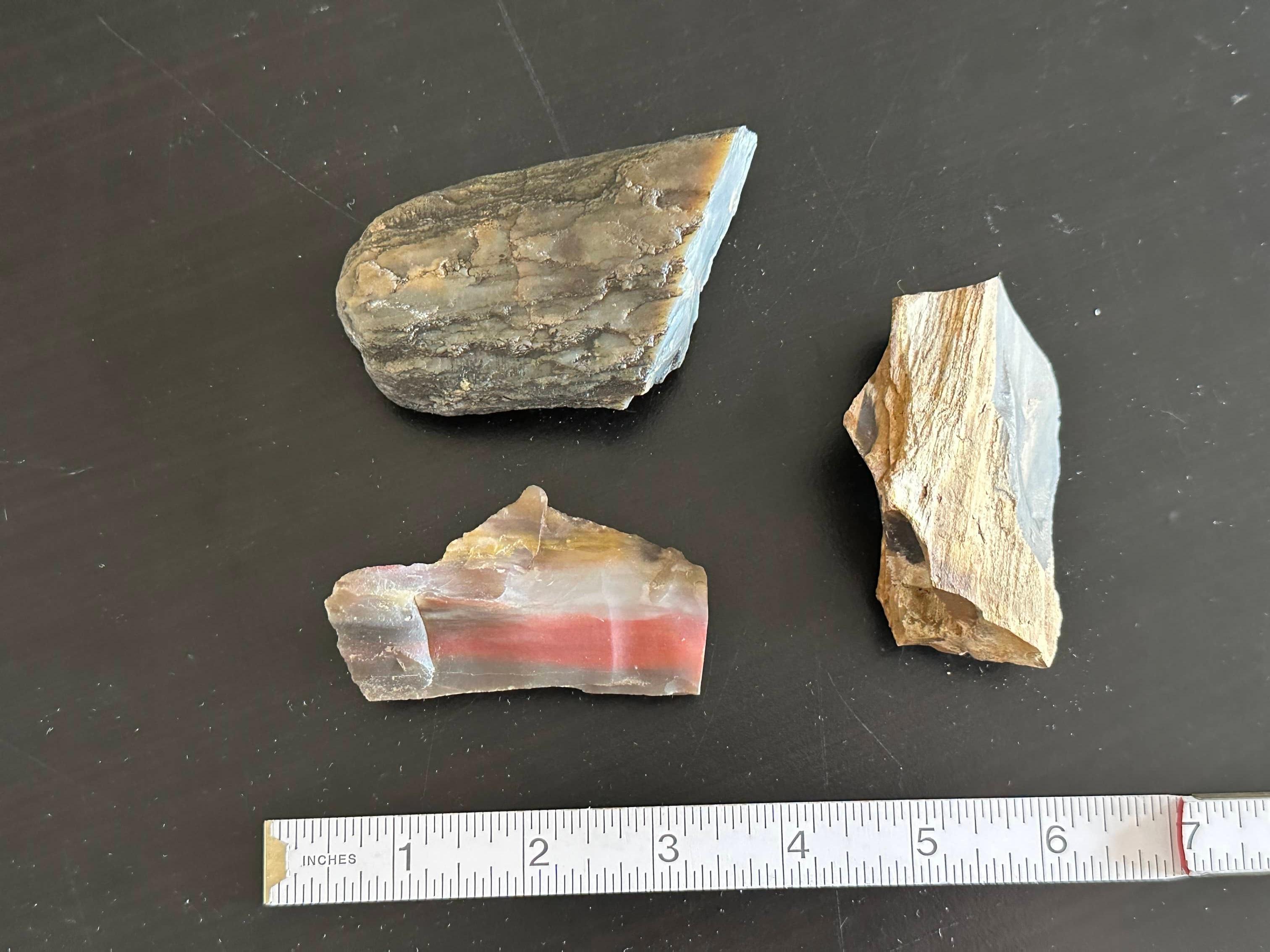 (3) Pieces of Petrified Wood. Some agatization.