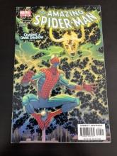 The Amazing Spider-Man Marvel Comics #504 2004