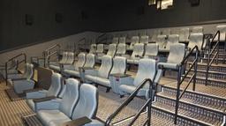 Custom Leather Theater Seats