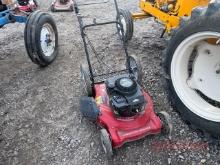 Briggs Push Mower