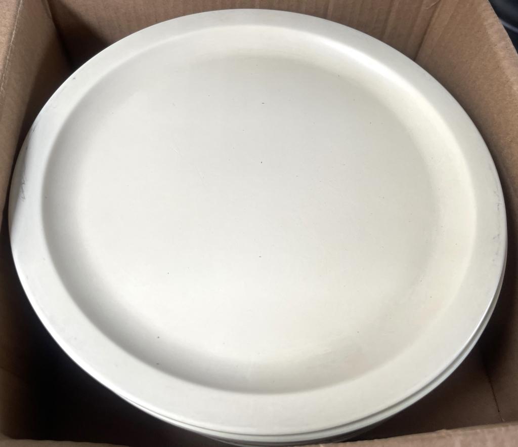 10" Dinner Plates