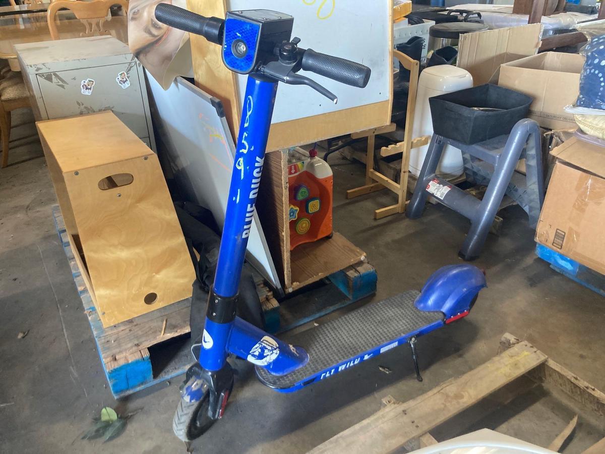 Blue Duck Motorized Scooter