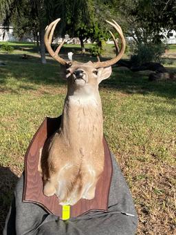 Deer Decor