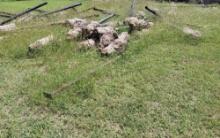 Black Metal Fence and Poles