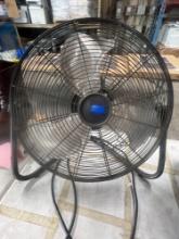Fan