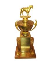 LARGE EQUESTRIAN TROPHY - PICK UP ONLY
