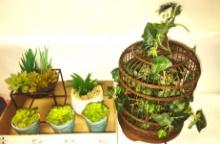 FAUX SUCCULENTS & FAUX BIRD CAGE+ PLANT. - PICK UP ONLY