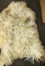 UNWASHED LONG HAIR ALPACA or SHEEP PELT